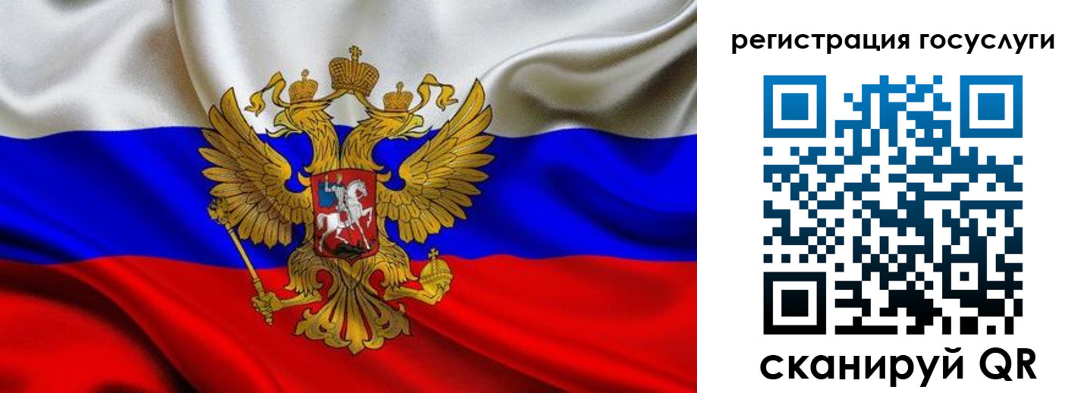прописка гарантия в Гусь-Хрустальном